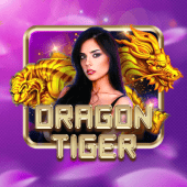 Dragon Tiger live casino table cover